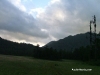 picoduarte - 72
